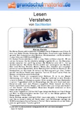 Kleiner Panda - Sachtext.pdf